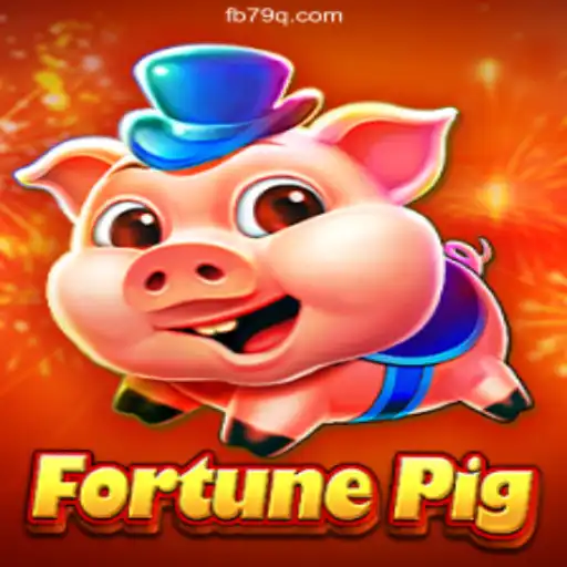 79Q.com platform-online Slots Brasil #1 Exclusive Events
